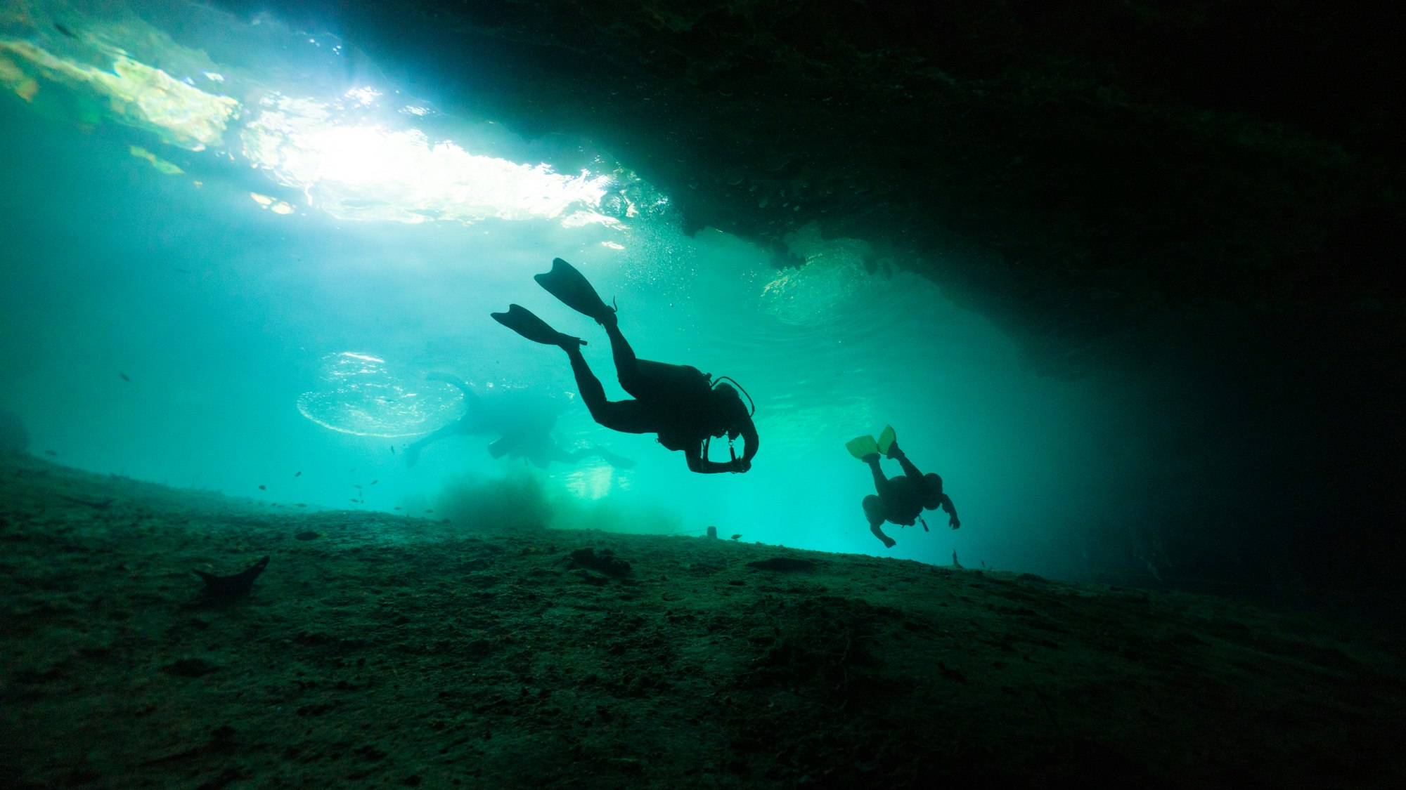 technical diving in a cenote in mexico.